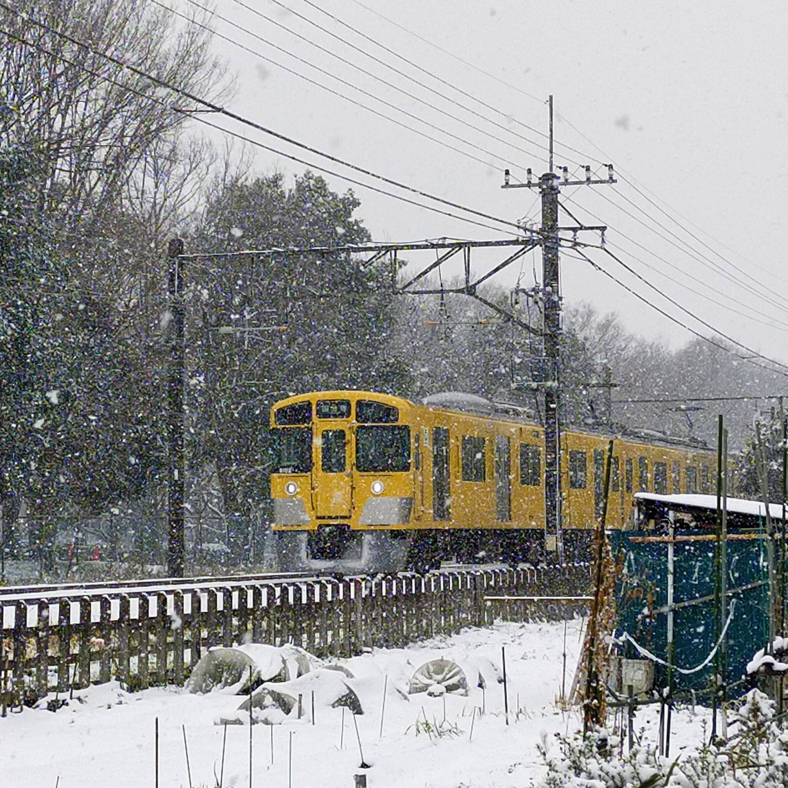 西武電車幸せの黄色い電車9000系