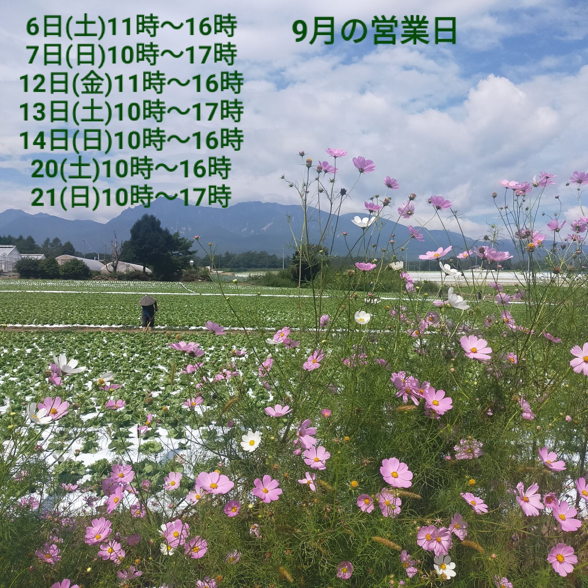 WACAFEさんぽみち9月の営業費